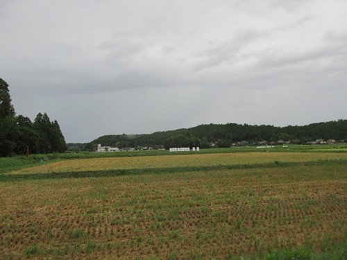 a0123836_14465371.jpg