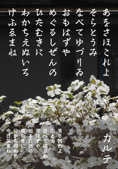 いろいろいろは「タクト」「カルテ」「ザイル」_a0386342_20161027.jpg