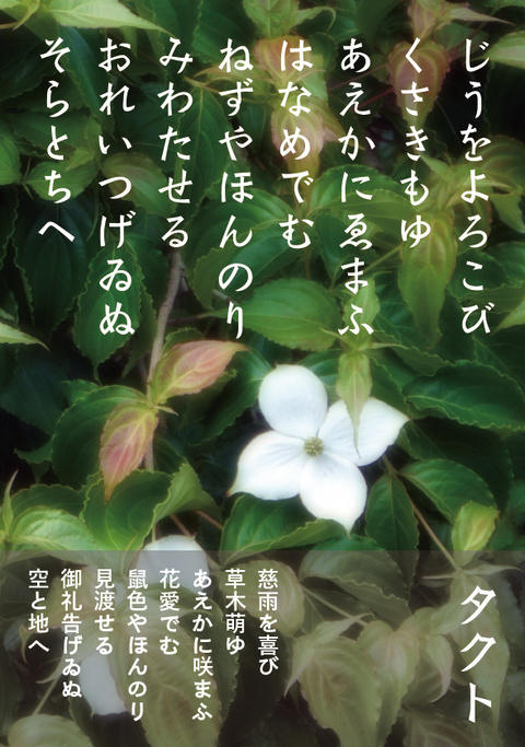いろいろいろは「タクト」「カルテ」「ザイル」_a0386342_20161047.jpg