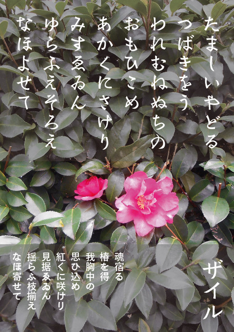 いろいろいろは「タクト」「カルテ」「ザイル」_a0386342_20161053.jpg
