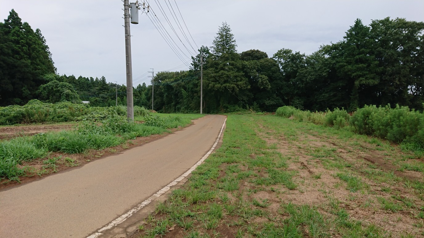 2019\'　成田夏祭り　駐車場とフリー走行注意点！_c0042655_00104965.jpg