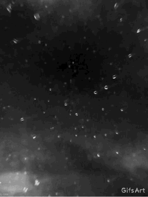 c0119160_06253617.gif