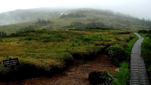 ＜2019年７月12～15日＞北ア秘境名峰「黒部五郎岳」３泊４日テント旅：(後編)_c0119160_07162303.jpg