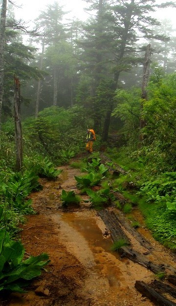 ＜2019年７月12～15日＞北ア秘境名峰「黒部五郎岳」３泊４日テント旅：(後編)_c0119160_18305096.jpg