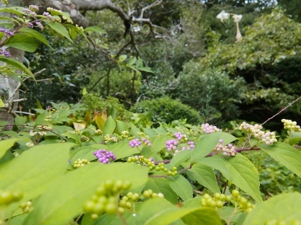 b0368362_21044801.jpg