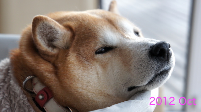 b0274270_13073565.jpg