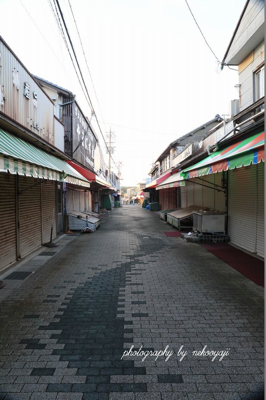 f0295481_10003159.jpg