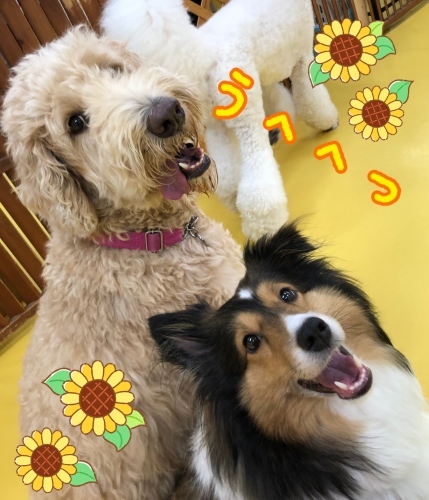 トレーニングブログ_f0357682_22103838.jpeg