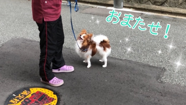 トレーニングブログ_f0357682_22112272.jpeg