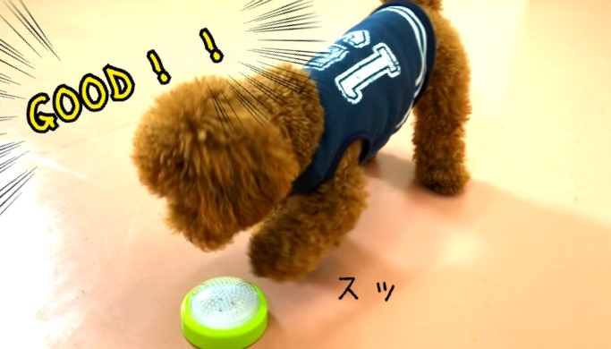 トレーニングブログ_f0357682_22115780.jpeg