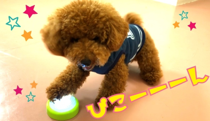 トレーニングブログ_f0357682_22121919.jpeg