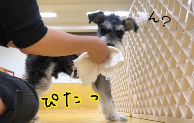 トレーニングブログ_f0357682_22143330.jpeg