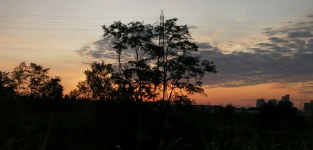 c0229483_1003015.jpg
