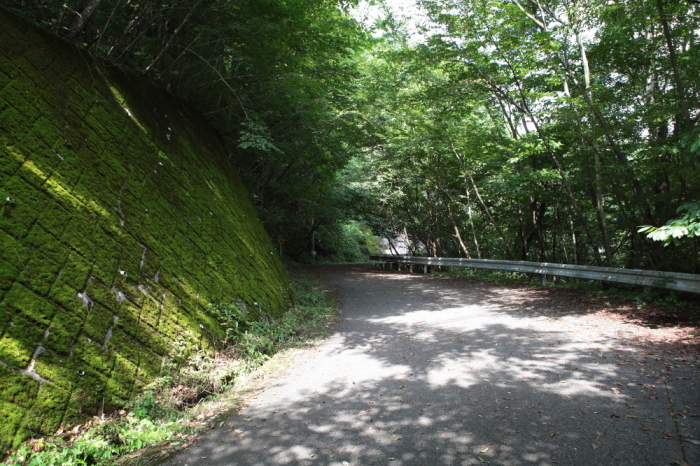 e0165983_11415115.jpg