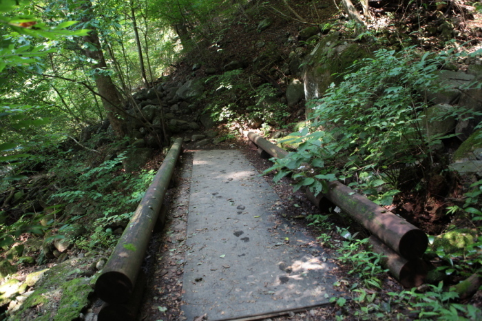e0165983_11420502.jpg