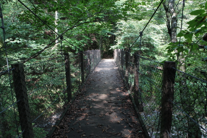 e0165983_11422267.jpg