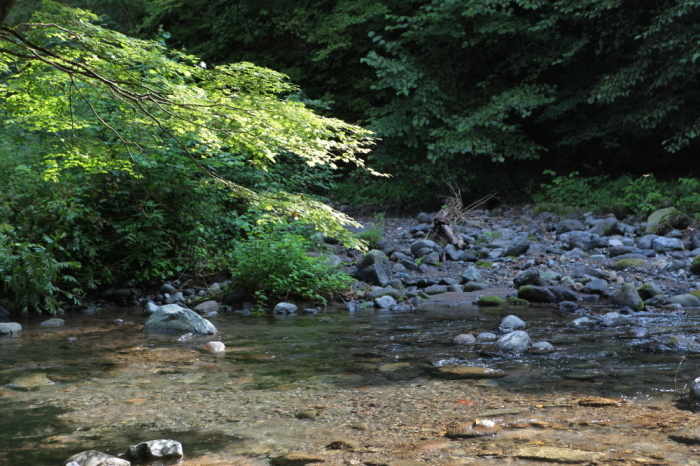 e0165983_11422800.jpg