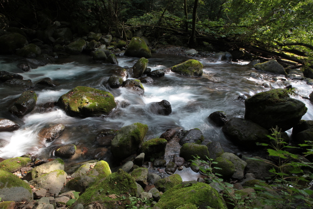 e0165983_11425710.jpg