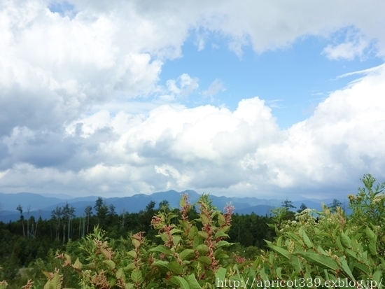2019晩夏 飛騨高山・胡桃島キャンプ_c0293787_19561817.jpg