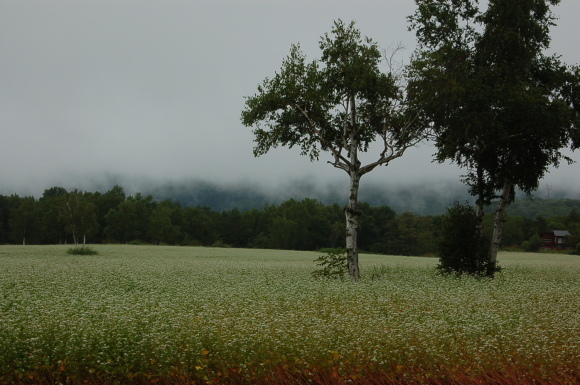 b0203588_16373410.jpg
