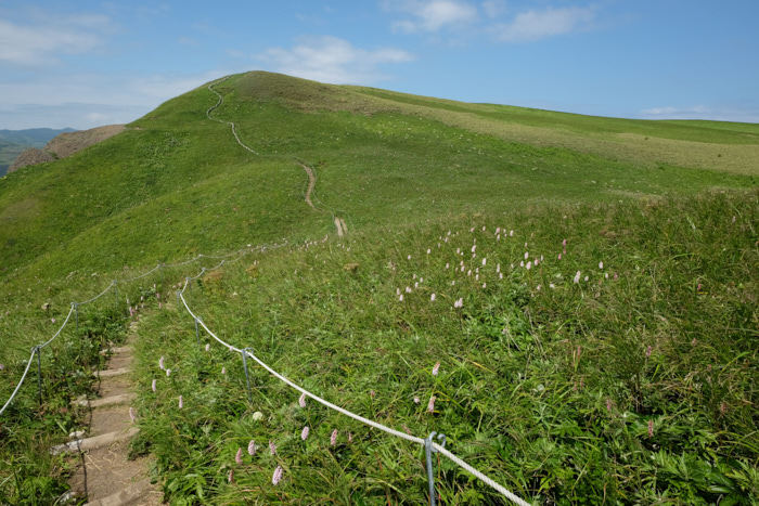 b0339488_05443548.jpg