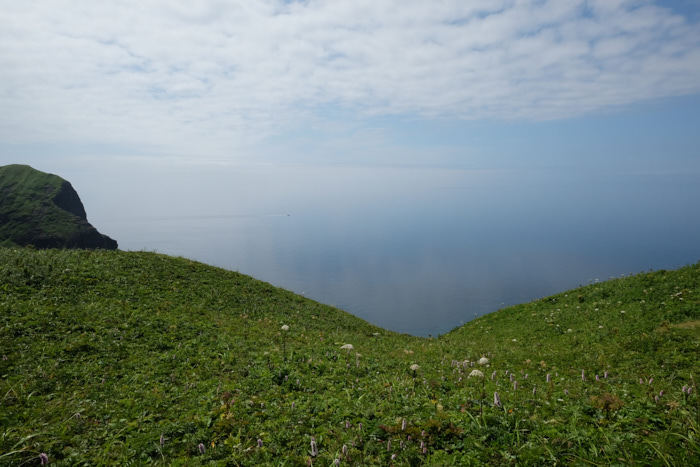 b0339488_05443597.jpg