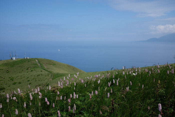 b0339488_05445418.jpg