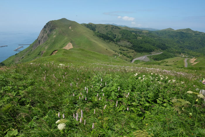 b0339488_05445484.jpg