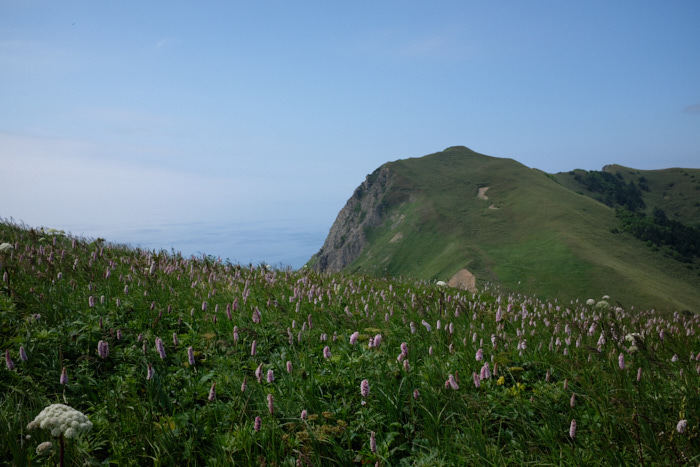 b0339488_05445499.jpg