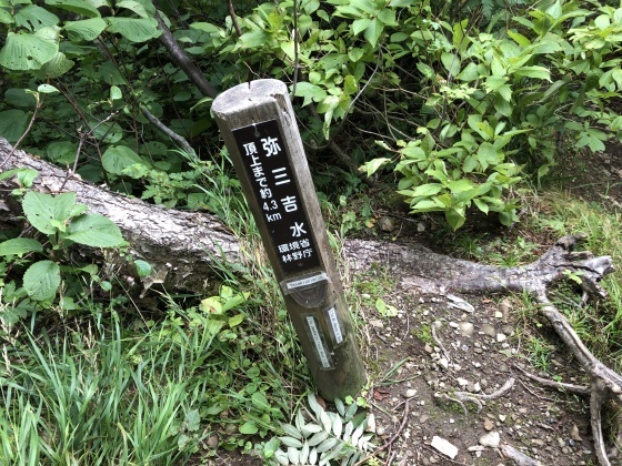 d0198793_16040095.jpg