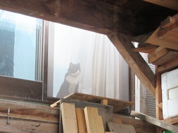 木子ちゃんと山くん、板を運ぶ_a0203003_20105273.jpg