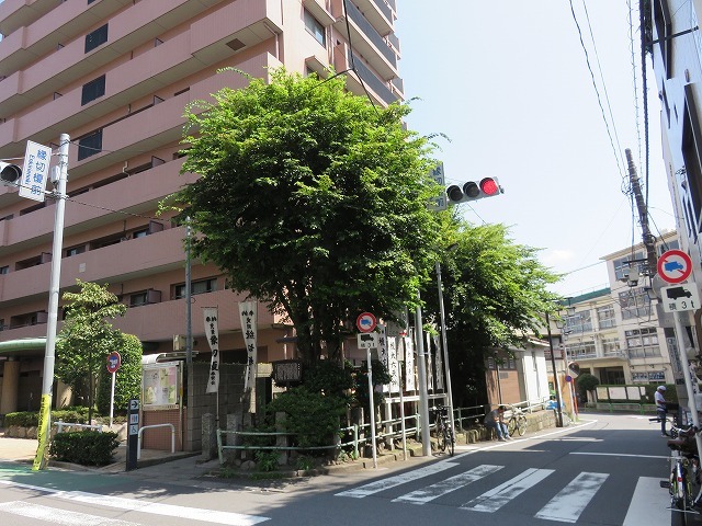 縁切榎 (新江戸百景めぐり㉘)_c0187004_18065714.jpg