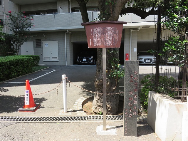 縁切榎 (新江戸百景めぐり㉘)_c0187004_18085276.jpg