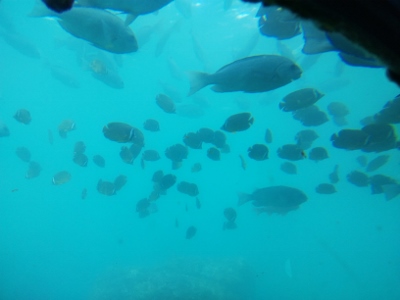 b0040606_2011071.jpg
