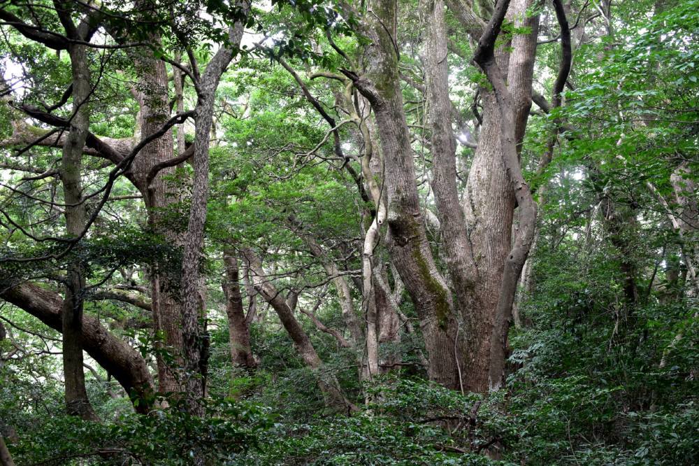 城ノ越山・立花山・三日月山を周回_f0212511_10235796.jpg