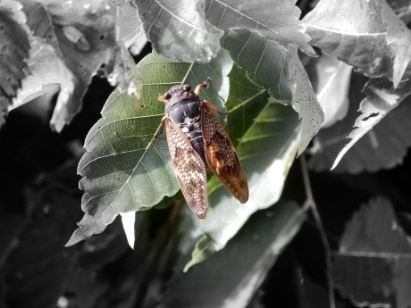 ゆきあひの… * de la fin d\'été au début d\'automne_a0332314_17521336.jpg