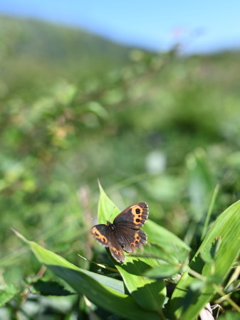 c0353632_17483220.jpg