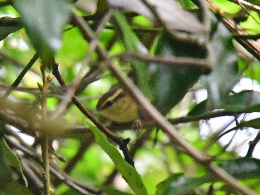 f0340732_19133330.jpg