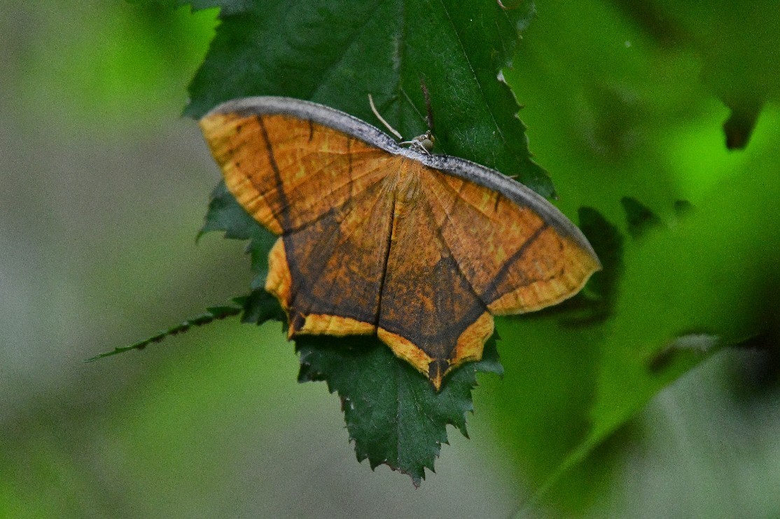 f0340732_19153147.jpg