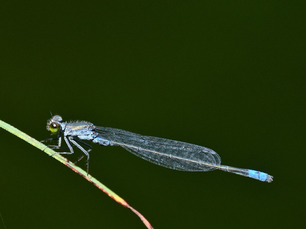 f0340732_19183503.jpg