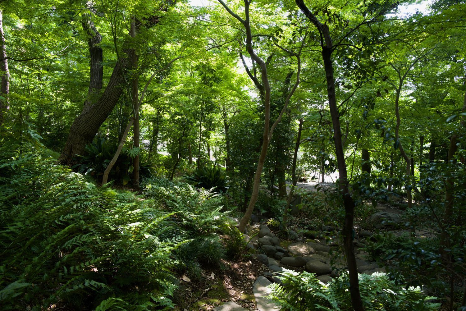b0212342_16422744.jpg