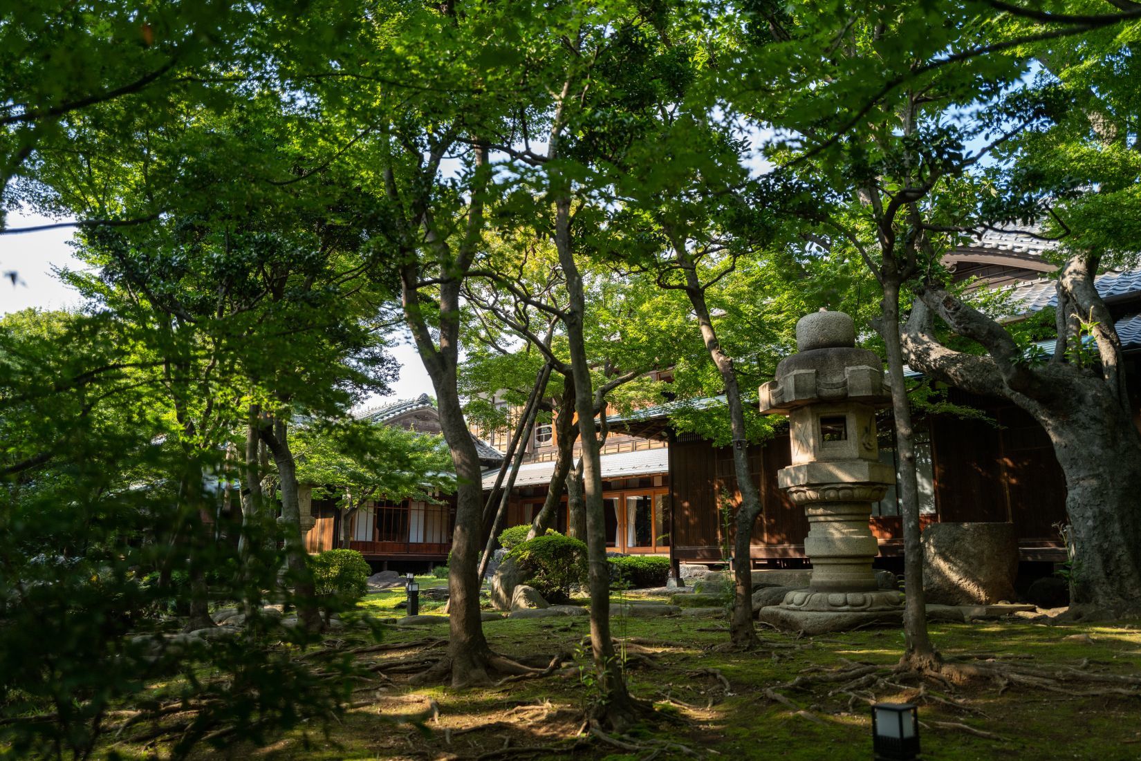 b0212342_17111945.jpg