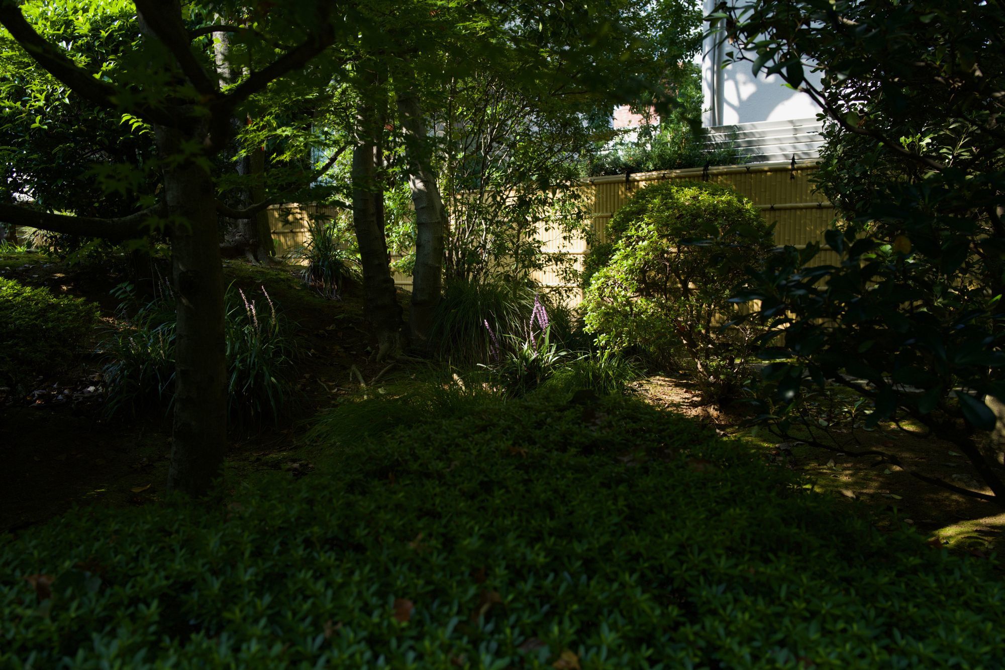 b0212342_17162130.jpg