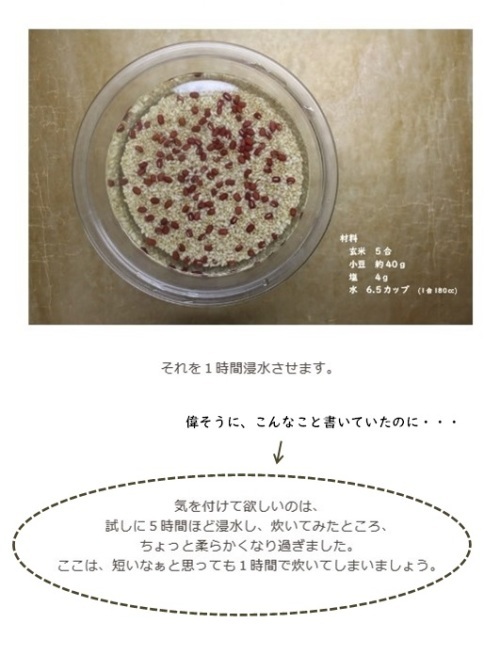 失敗は成功の玄米おはぎ_e0343145_17562349.jpg