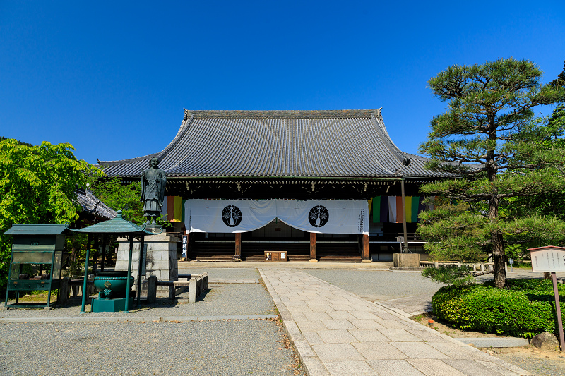 新緑の頃（粟生光明寺）_f0155048_23344838.jpg