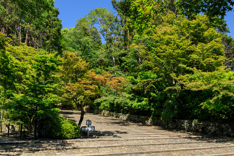 新緑の頃（粟生光明寺）_f0155048_23345765.jpg