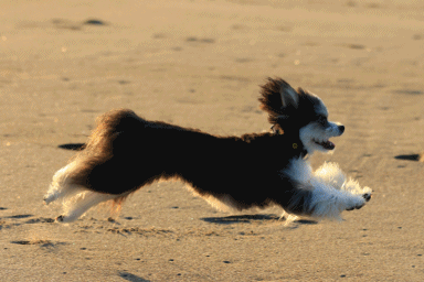 c0145250_09265358.gif