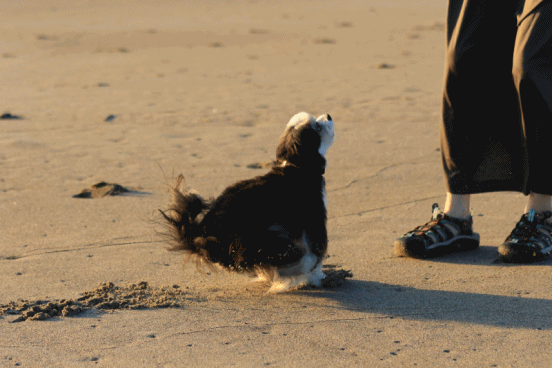 c0145250_09265968.gif
