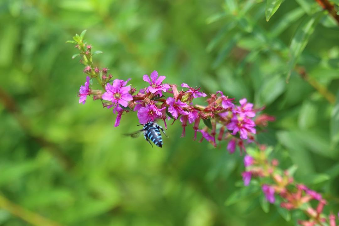 e0403850_14052442.jpg