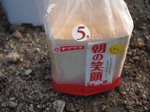 木曽駒~将棋頭山テント泊 2019年8月26.27日_b0319255_14182246.jpg